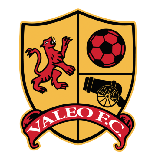 https://valeofcjamaica.valeofc.com/wp-content/uploads/sites/8/2022/08/cropped-valeo-logo-small.png